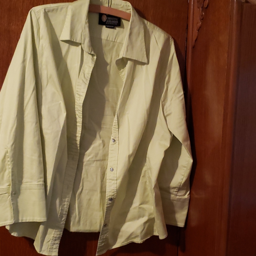 Fitted button down